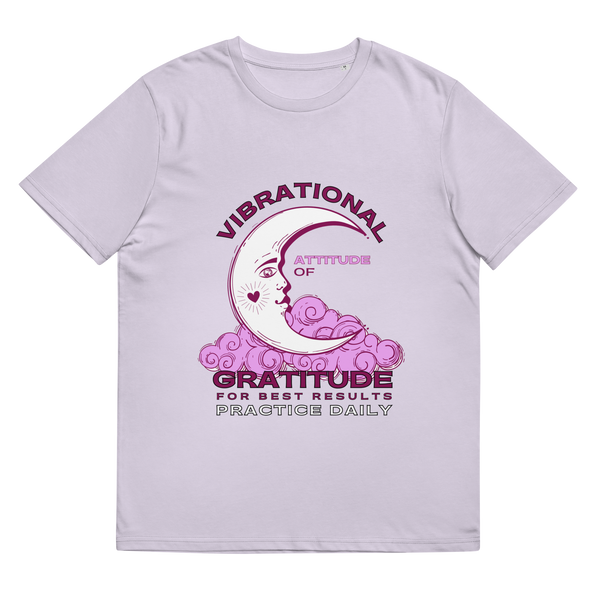 Vibrational Attitude of Gratitude T-Shirt