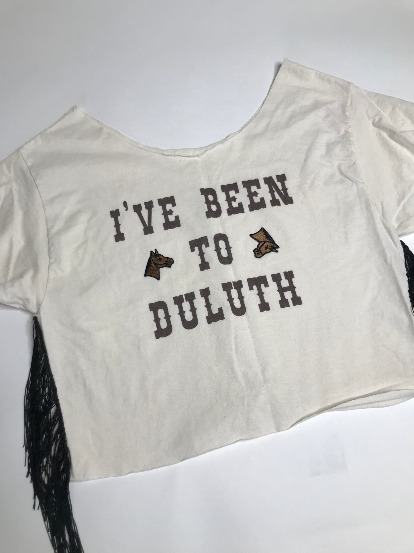 I've Been To Deluth Crop Top